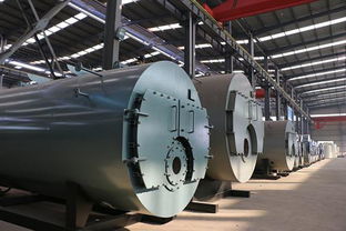 江蘇鍋爐廠 淮安1噸燃氣鍋爐 淮安1噸燃氣蒸汽鍋爐價格圖片 高清大圖 谷瀑環(huán)保